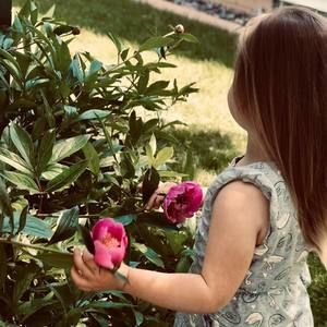 Meet your Posher, Susan